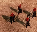 Shadow Team