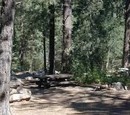 The Ravine