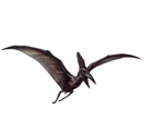 Pteranodon