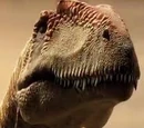 Mapusaurus