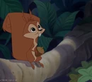 Bucky the Squirrel