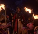A Professional Pirate