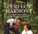 Perfect Harmony