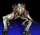Maggot
