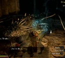 Dragon Forged Equipment
