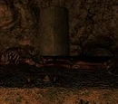 Crypt of the Night Mother