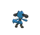 Riolu