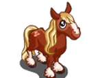 Kerry Bog Pony Foal