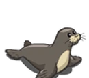 Monk Seal