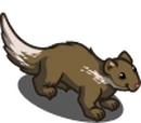 Whitetail Mongoose