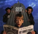 Home Alone 2: Lost in New York