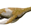 Polycotylidae