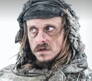 Orell