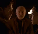 Robb and Talisa Stark