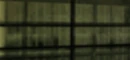 Perennial-GTAVCS-front.jpg