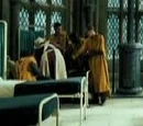 Hufflepuff Quidditch team