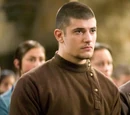 Viktor Krum's partner