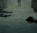 Unidentified Hogwarts students killed on the Seventh Floor