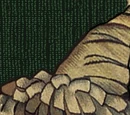 Cygnus Black II