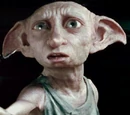 Dobby's clothes