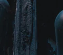 House of Black house-elves