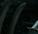 Bone