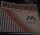 Mudbloods and the Dangers They Pose to a Peaceful Pure-Blood Society