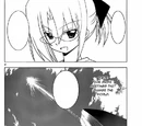 Chapter 297