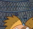 Pigeon Man (episode)