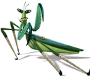 Mantis