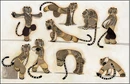 Tigress-character art.jpg