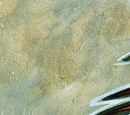 Kaneka