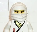 White Ninja Princess
