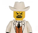 Señor Palomar