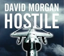 Hostile Skies