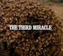 Episode 604: The Third Miracle