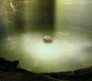 The Heart of the Island