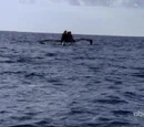 Outrigger chase