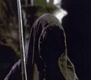 Nazgûl