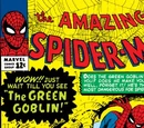 Amazing Spider-Man Vol 1 14