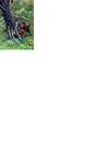 Superman 0167.jpg