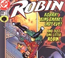 Robin Vol 4 91