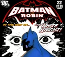 Batman and Robin Vol 1 22