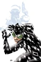 Catwoman 0055.jpg