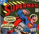 Superman Vol 1 325