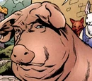 Dun (Fables)