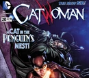 Catwoman Vol 4 20