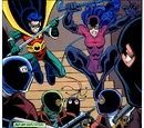 Robin Vol 4 28/Images