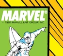 Silver Surfer Vol 3 23