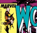 Wolverine Vol 2 20